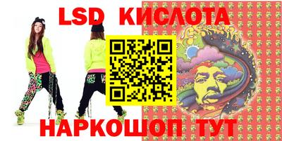 шишки Камышлов