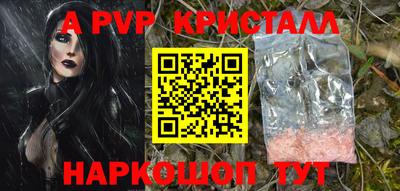 шишки Камышлов