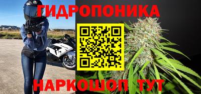шишки Камышлов