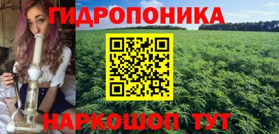 шишки Камышлов