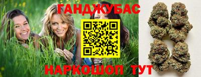 шишки Камышлов