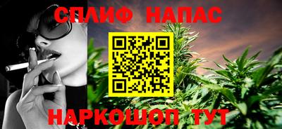шишки Камышлов
