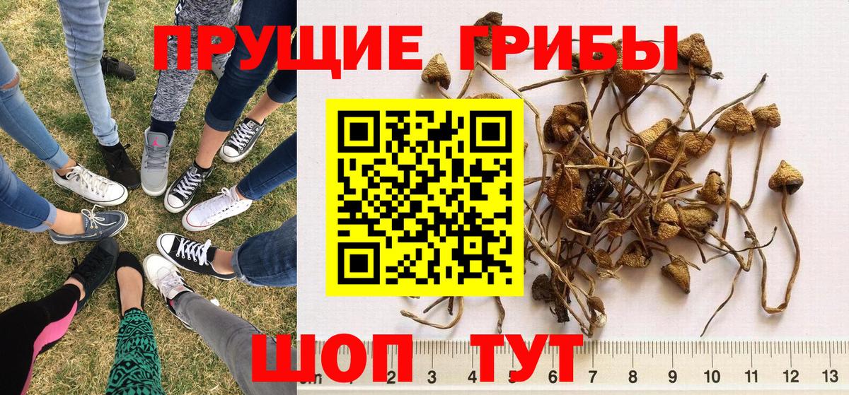 Галлюциногенные грибы мицелий Кореновск